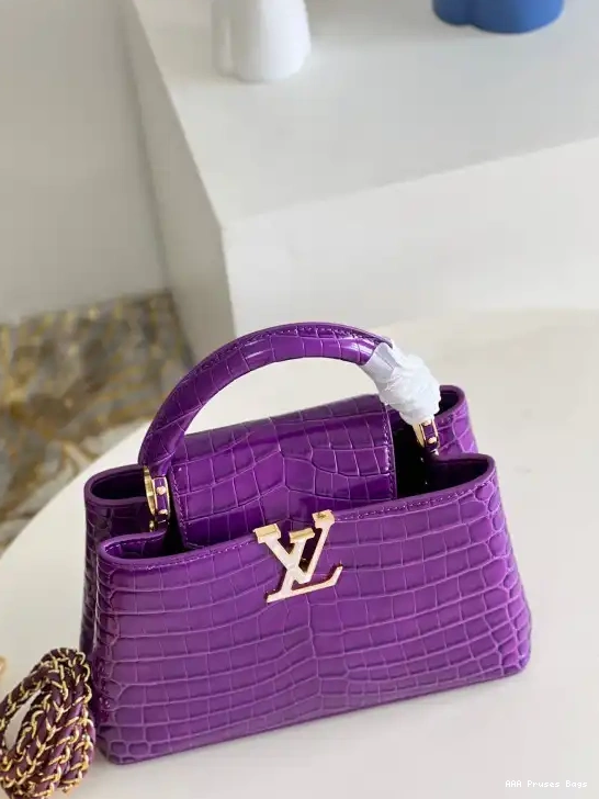 AAA Pruses Bags LOUIS BB VUITTON CAPUCINES 0516